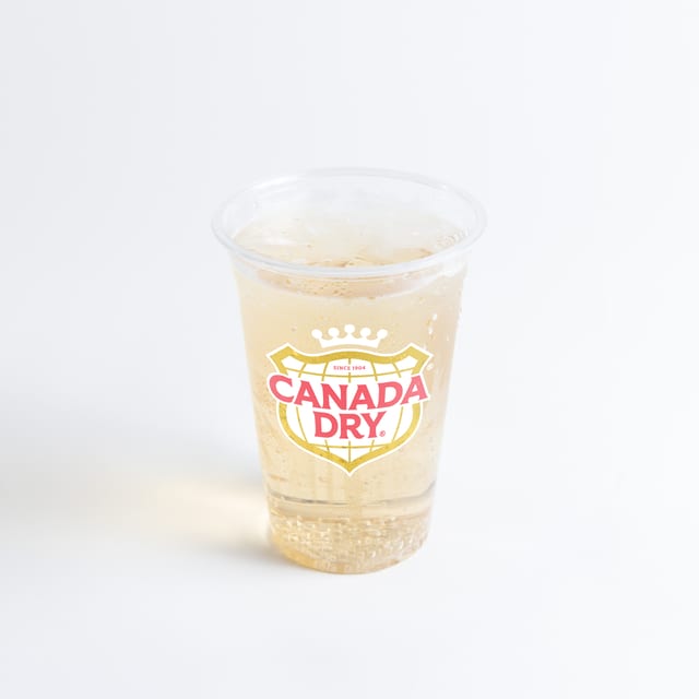 Ginger Ale 20 oz..